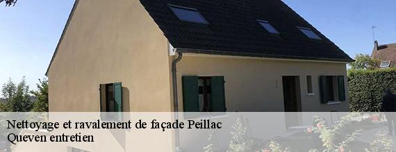 Nettoyage et ravalement de façade  peillac-56220 Queven entretien