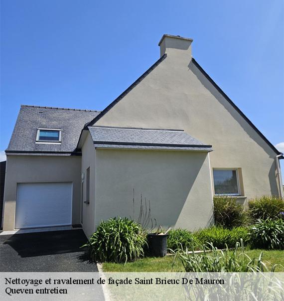 Nettoyage et ravalement de façade-10