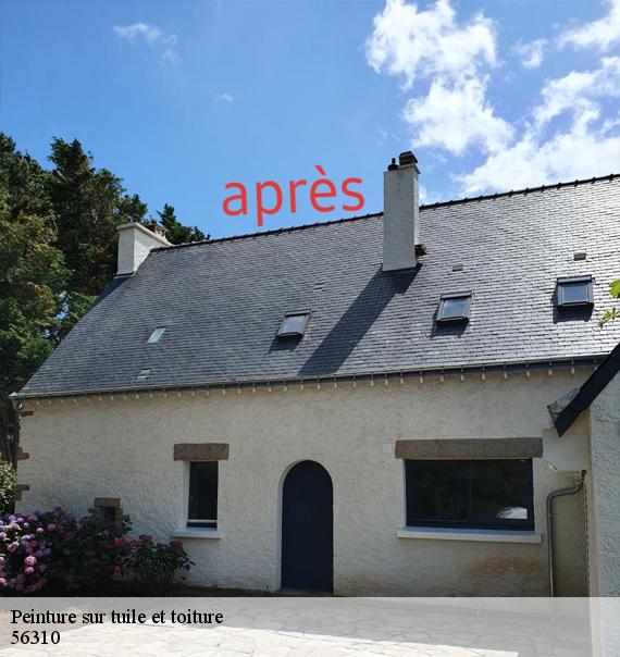 Peinture sur tuile et toiture-8