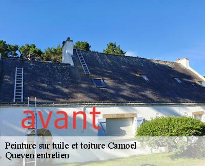 Peinture sur tuile et toiture-4