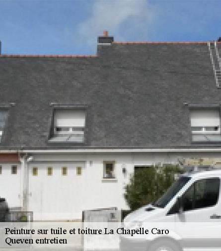 Peinture sur tuile et toiture-1