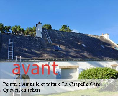 Peinture sur tuile et toiture-4