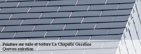 Peinture sur tuile et toiture  la-chapelle-gaceline-56200 Queven entretien