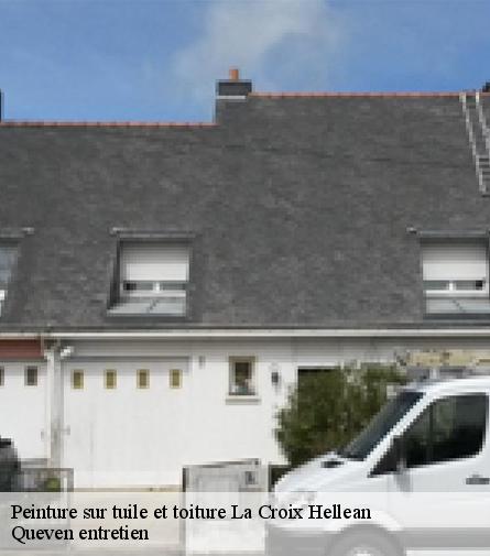 Peinture sur tuile et toiture-1