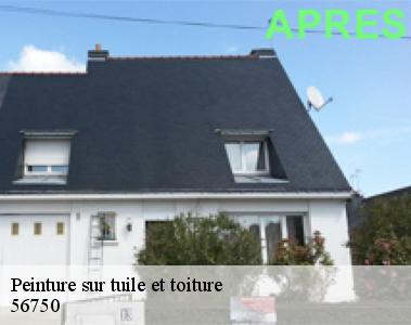 Peinture sur tuile et toiture-2