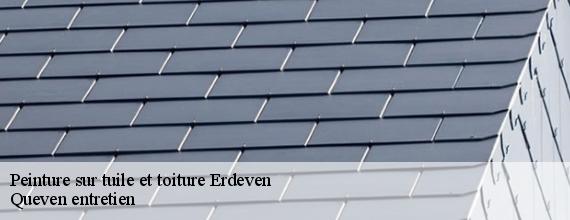 Peinture sur tuile et toiture  erdeven-56410 Queven entretien
