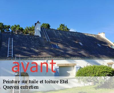 Peinture sur tuile et toiture-4