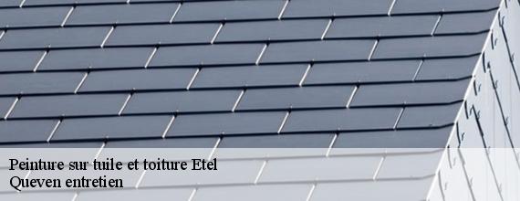 Peinture sur tuile et toiture  etel-56410 Queven entretien