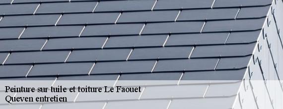 Peinture sur tuile et toiture  le-faouet-56320 Queven entretien