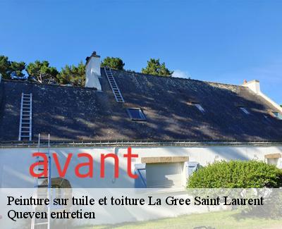 Peinture sur tuile et toiture-4