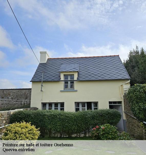 Peinture sur tuile et toiture-10