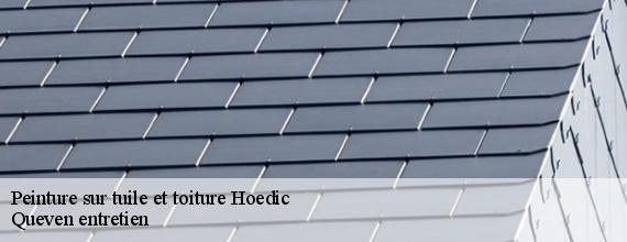 Peinture sur tuile et toiture  hoedic-56170 Queven entretien
