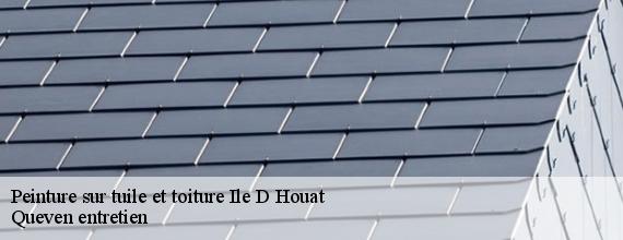 Peinture sur tuile et toiture  ile-d-houat-56170 Queven entretien