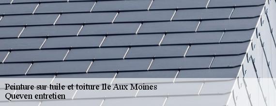 Peinture sur tuile et toiture  ile-aux-moines-56780 Queven entretien