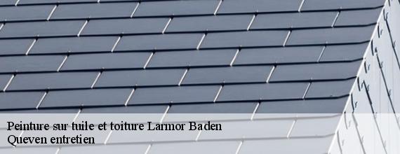 Peinture sur tuile et toiture  larmor-baden-56870 Queven entretien