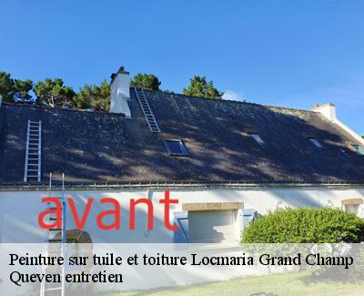 Peinture sur tuile et toiture-4