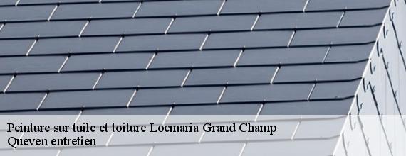 Peinture sur tuile et toiture  locmaria-grand-champ-56390 Queven entretien