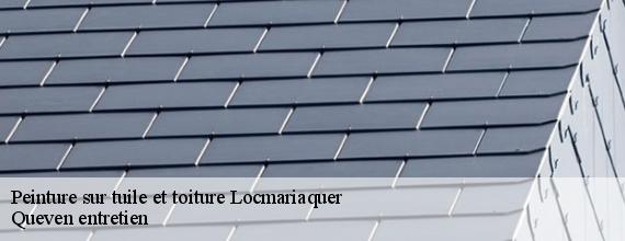 Peinture sur tuile et toiture  locmariaquer-56740 Queven entretien