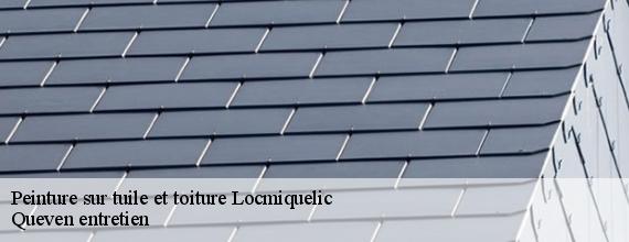 Peinture sur tuile et toiture  locmiquelic-56570 Queven entretien