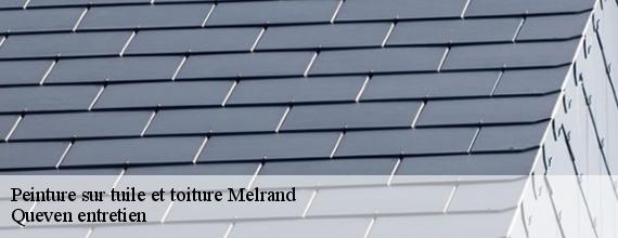 Peinture sur tuile et toiture  melrand-56310 Queven entretien