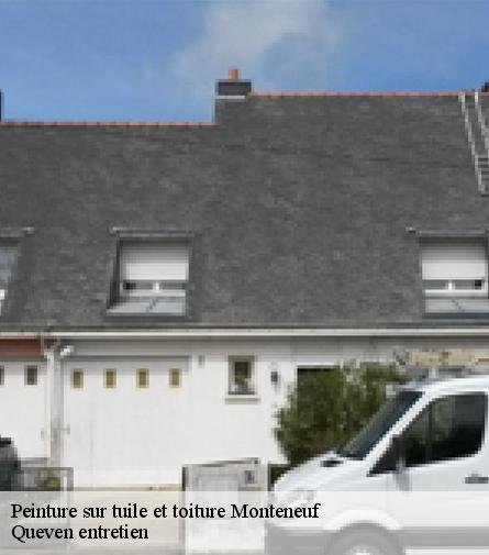 Peinture sur tuile et toiture-1