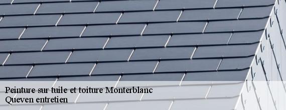 Peinture sur tuile et toiture  monterblanc-56250 Queven entretien