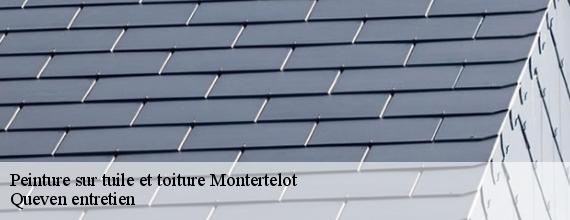 Peinture sur tuile et toiture  montertelot-56800 Queven entretien