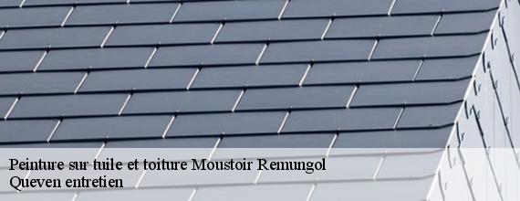 Peinture sur tuile et toiture  moustoir-remungol-56500 Queven entretien