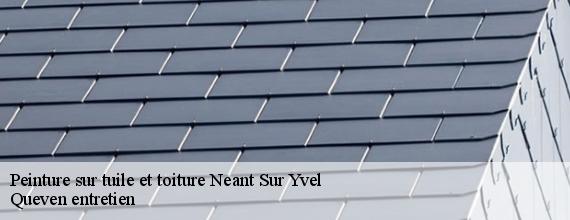 Peinture sur tuile et toiture  neant-sur-yvel-56430 Queven entretien
