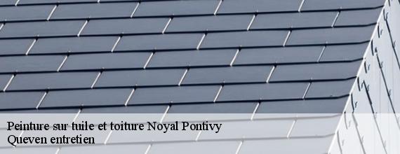 Peinture sur tuile et toiture  noyal-pontivy-56920 Queven entretien
