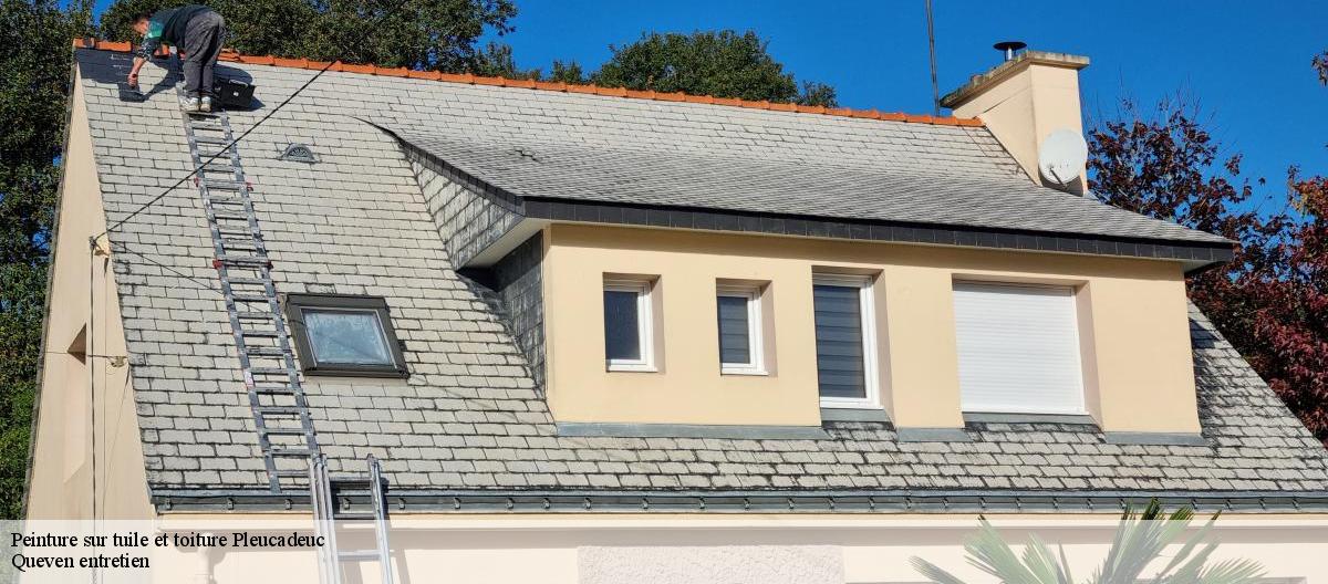 Peinture sur tuile et toiture-7