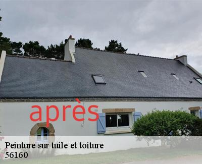 Peinture sur tuile et toiture-5