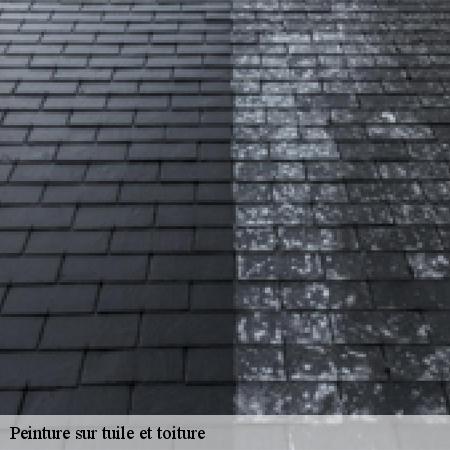 Peinture sur tuile et toiture-3
