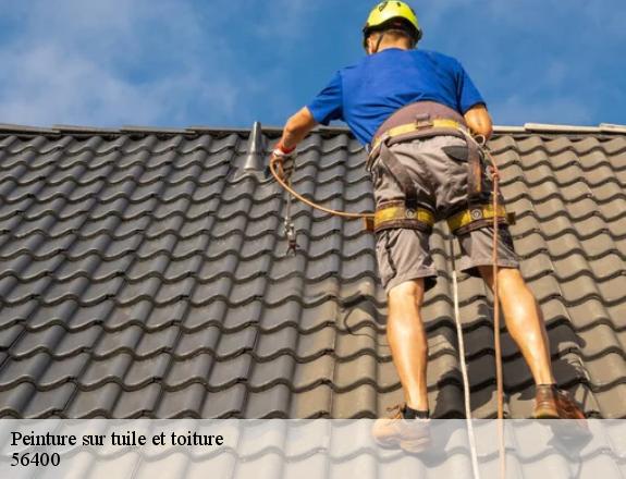 Peinture sur tuile et toiture  plougoumelen-56400 Queven entretien