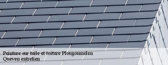 Peinture sur tuile et toiture  plougoumelen-56400 Queven entretien