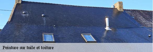 Peinture sur tuile et toiture-6