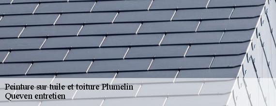 Peinture sur tuile et toiture  plumelin-56500 Queven entretien