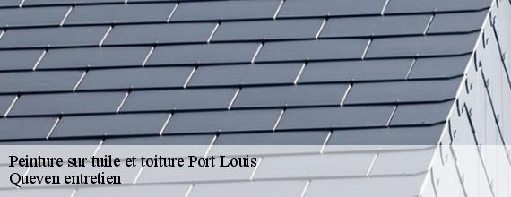 Peinture sur tuile et toiture  port-louis-56290 Queven entretien