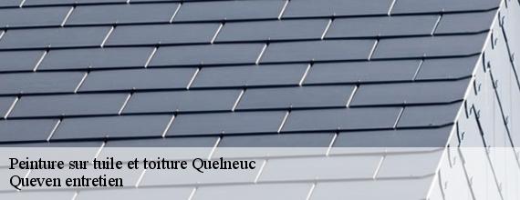 Peinture sur tuile et toiture  quelneuc-56910 Queven entretien