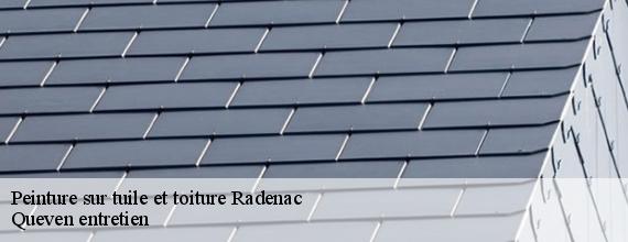 Peinture sur tuile et toiture  radenac-56500 Queven entretien