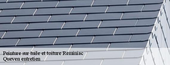 Peinture sur tuile et toiture  reminiac-56140 Queven entretien