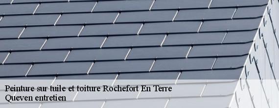 Peinture sur tuile et toiture  rochefort-en-terre-56220 Queven entretien