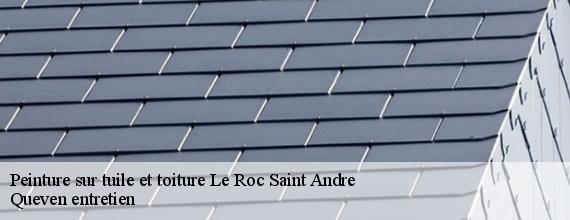 Peinture sur tuile et toiture  le-roc-saint-andre-56460 Queven entretien