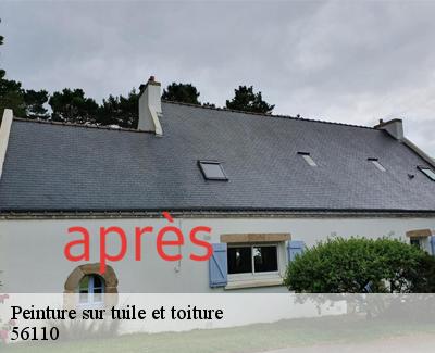 Peinture sur tuile et toiture-5