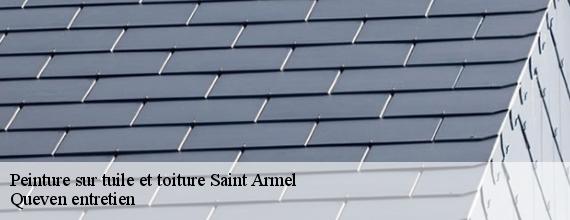 Peinture sur tuile et toiture  saint-armel-56450 Queven entretien