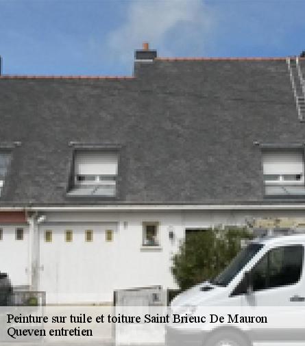 Peinture sur tuile et toiture-1