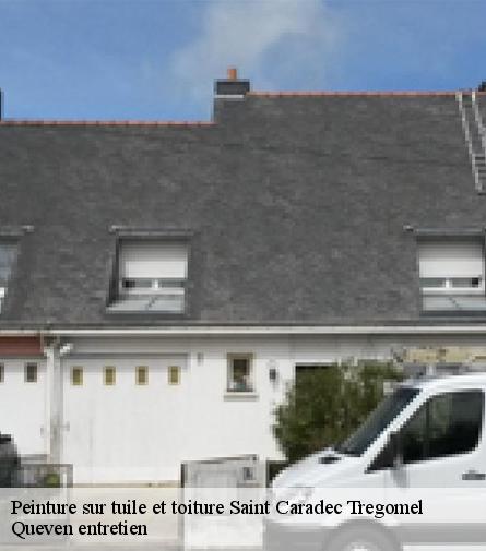 Peinture sur tuile et toiture-1