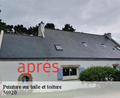 Peinture sur tuile et toiture-5