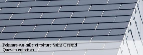 Peinture sur tuile et toiture  saint-gerand-56920 Queven entretien