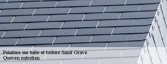 Peinture sur tuile et toiture  saint-grave-56220 Queven entretien
